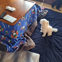 キョロキョロ