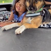 仲良く寄り添ってドライブ