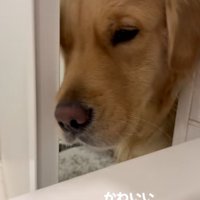 ストーカーのドドくん