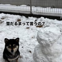 雪だるまと千幸ちゃん