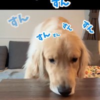桃を食べるコロッケくん⑩