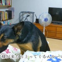 「じゃあ私も一緒に寝る！」
