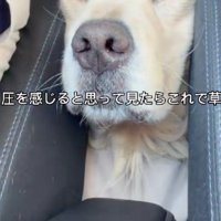 背後から圧を感じて…