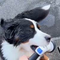 反撃開始！