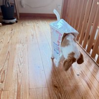雨の日の遊びは…