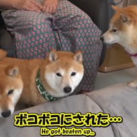 凛ちゃんは最強！
