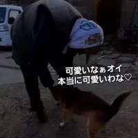 じゅんこちゃんのことが大好き