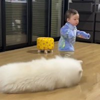 とても子煩悩な性格