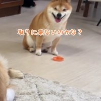 「取りに来ないのかな？」