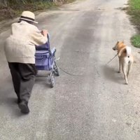 「ゆっくりで大丈夫だよ」