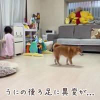 うにくんの様子がおかしい