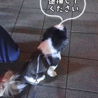 「現行犯逮捕して…」