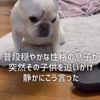 息子さんが追いかけて…