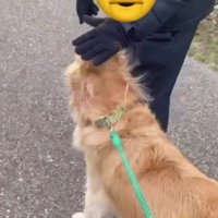 離れたくない…