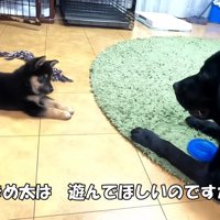 ジオちゃんと意気投合！！