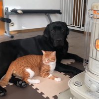 寄り添ってリラックス中