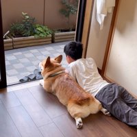 足を伸ばして寝そべる兄弟