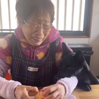 あご乗せするロイくん