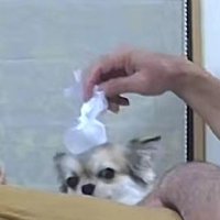 冷たくて気持ちいい…