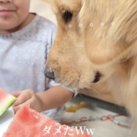 頑張って思い出すんだ…！