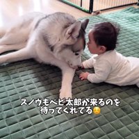 スノウちゃんが見守り♡