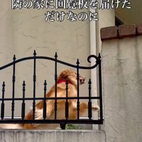 ララちゃんの熱烈歓迎3