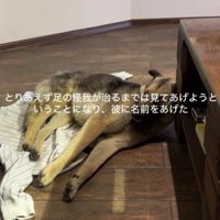 衝撃の事実が…