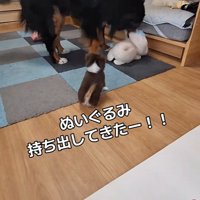 軽く振って見せると…