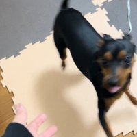 嬉しいナツくん