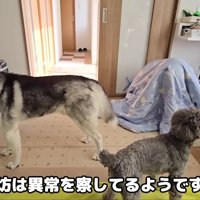 「何かがおかしい…」