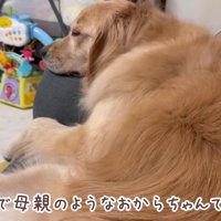 おからちゃんの愛に感動♡
