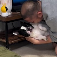 テレビ台の中の小型犬を引き出した飼い主