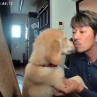 チューまでしていた！