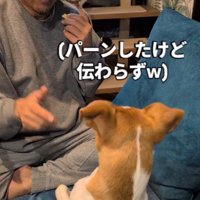 「バーン」がうまく伝わらない