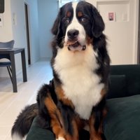 「どうしたらいいの…？」