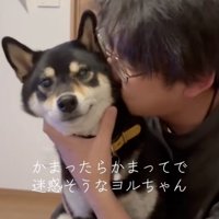パパのことは大好きなんです