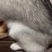 距離感がバグりすぎ！？