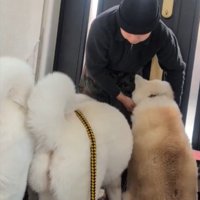 静か