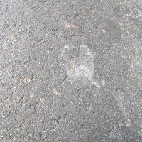 くっきりとした足跡