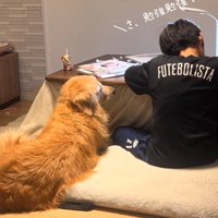 勉強再開