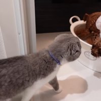 うゆちゃんのシャンプー中の出来事3