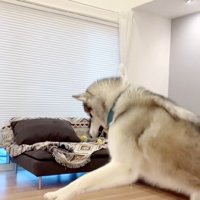 落ちていくボール