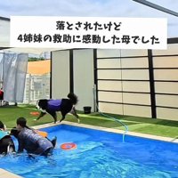 末っ子が救助成功！！