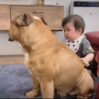 泣き止んだ赤ちゃんと座る犬