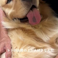 うっとり甘える姿にキュン♡