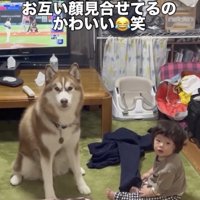 あふれる姉弟感
