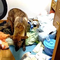 まさかの場所にいたりゅうさん7