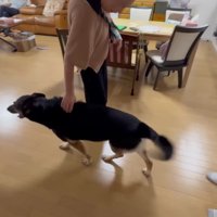 まさかの塩対応！！