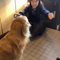 玄関で両手を広げる女の子と犬
