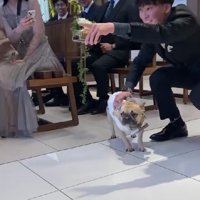 「あっちだよ」